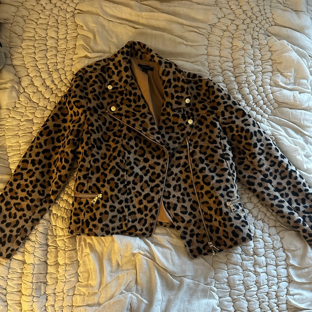 Ann Taylor Sz L Leopard Print Moto Jacket